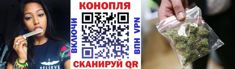 Конопля сатива Чусовой